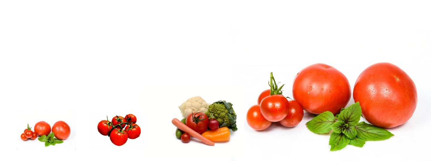 Tomatitaimed ja kurgitaimed müük